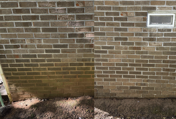 Red Clay Removal
